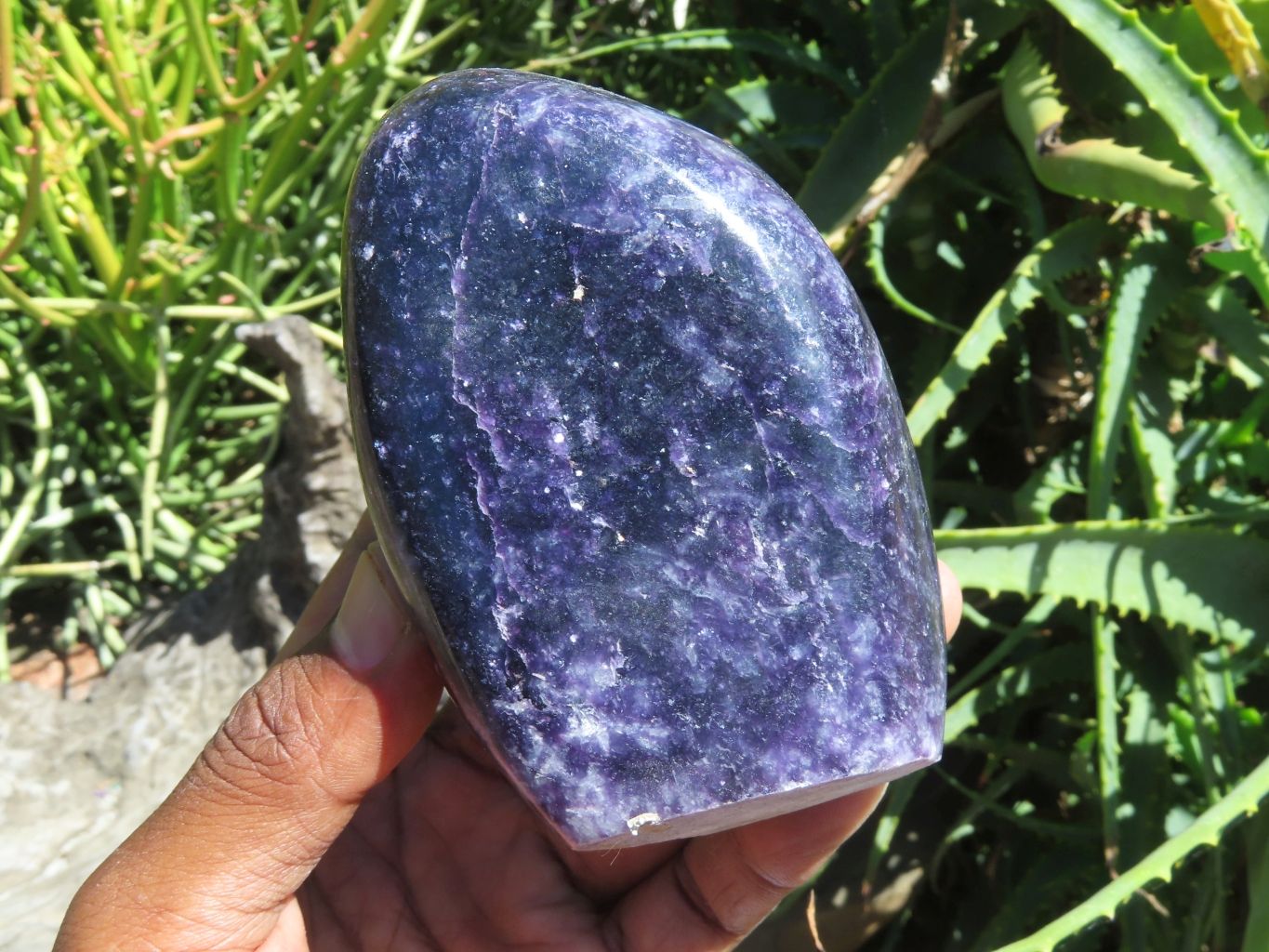 Polished Gem Lithium Mica Lepidolite Display Free Forms x 2 From Zimbabwe - TopRock