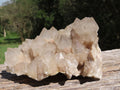 Natural Smokey Cascading Phantom Quartz Cluster x 1 From Luena, Congo - TopRock