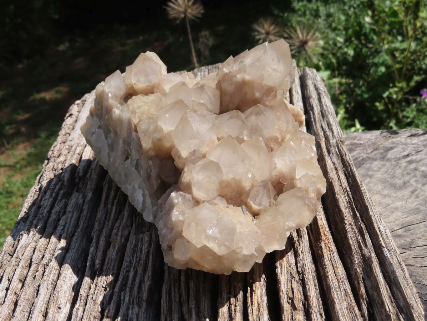 Natural Smokey Cascading Phantom Quartz Cluster x 1 From Luena, Congo - TopRock