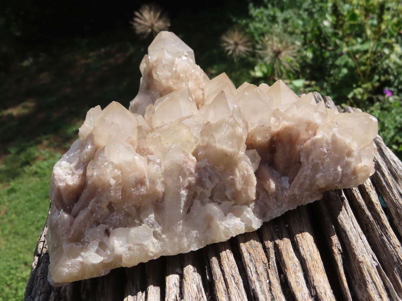 Natural Smokey Cascading Phantom Quartz Cluster x 1 From Luena, Congo - TopRock