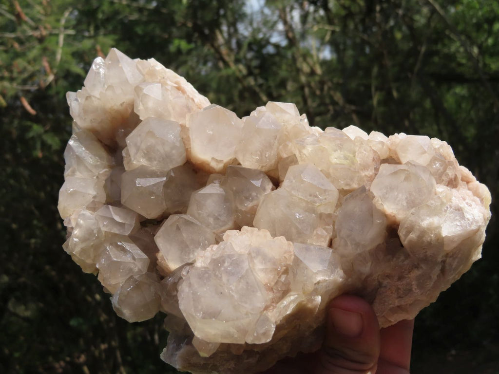 Natural Smokey Cascading Phantom Quartz Cluster x 1 From Luena, Congo - TopRock
