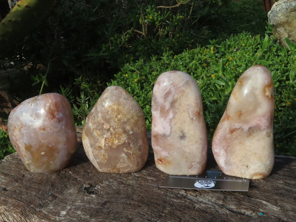 Polished Coral Flower Agate Standing Free Forms x 4 From Madagascar - TopRock