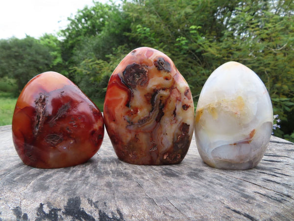 Polished Carnelian Standing Free Forms x 3 From Madagascar - TopRock