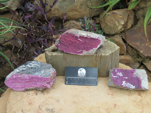 Natural  Selected Crystalline Salrose / Cobaltion Dolomite Specimens x 3 From Kakanda, Congo - TopRock