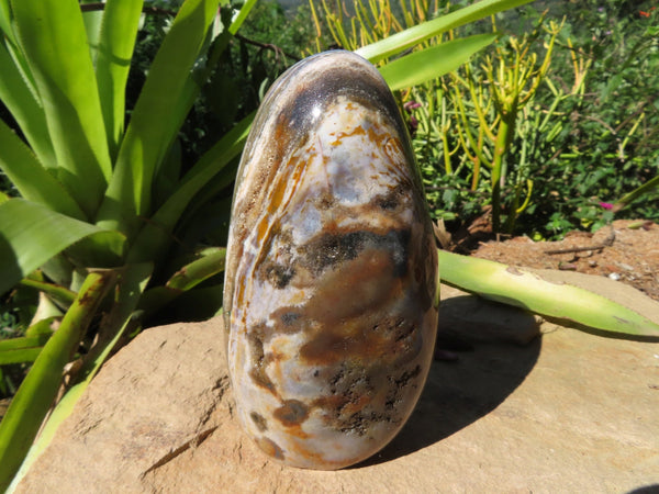 Polished  Ocean Jasper Standing Free Forms x 2 From Marovato, Madagascar - TopRock