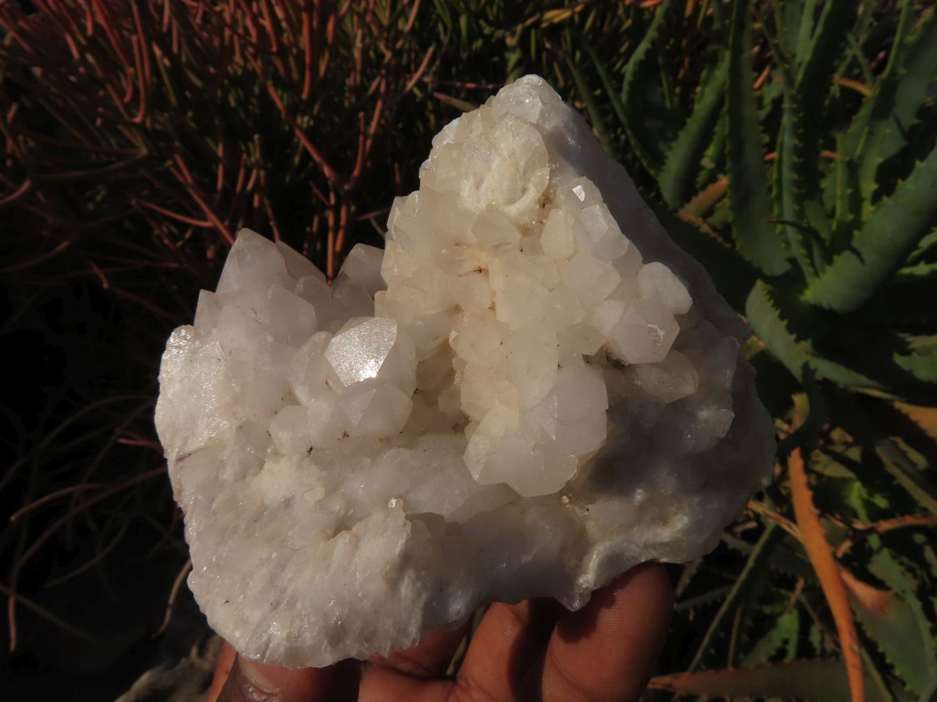 Natural Quartz Crystal Clusters x 5 From Madagascar - TopRock