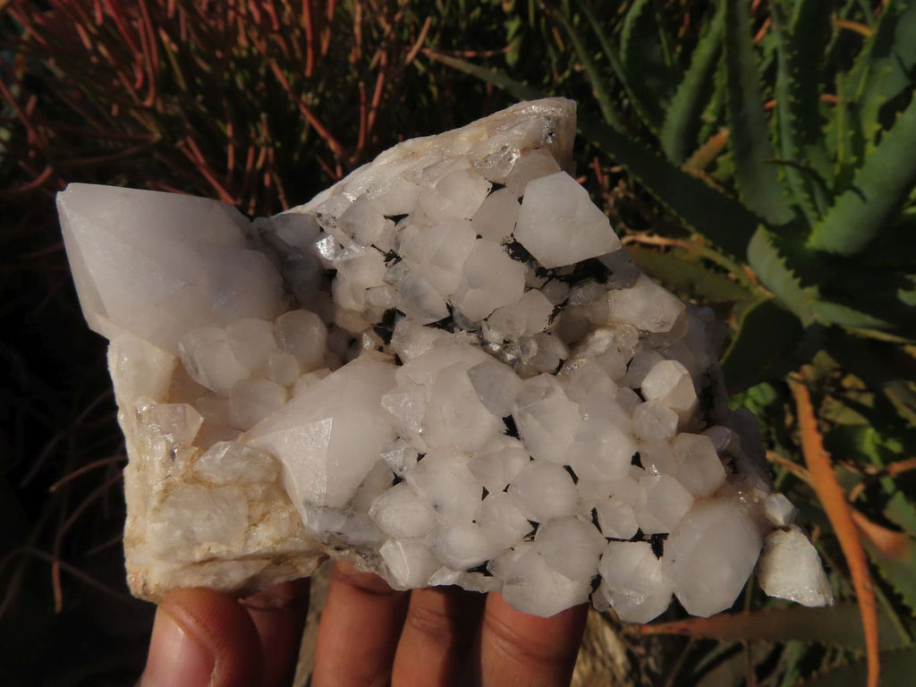Natural Quartz Crystal Clusters x 5 From Madagascar - TopRock