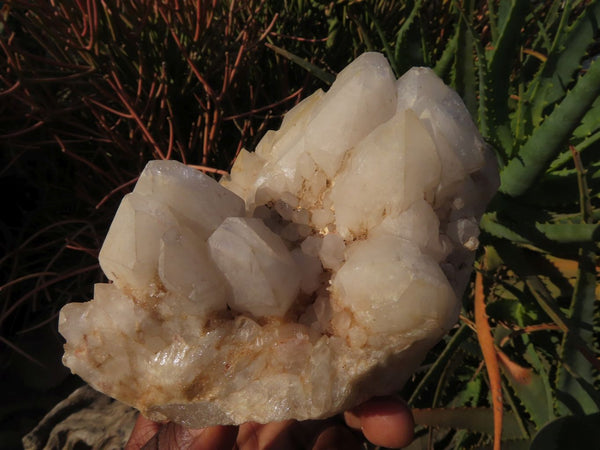 Natural Quartz Crystal Clusters x 5 From Madagascar - TopRock