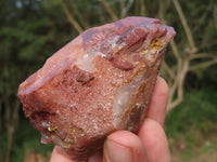 Natural Red Hematoid Phantom Quartz Crystals x 8 From Zimbabwe - TopRock