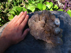 Natural Smokey Phantom Cluster x 1 From Lwena, Congo - TopRock