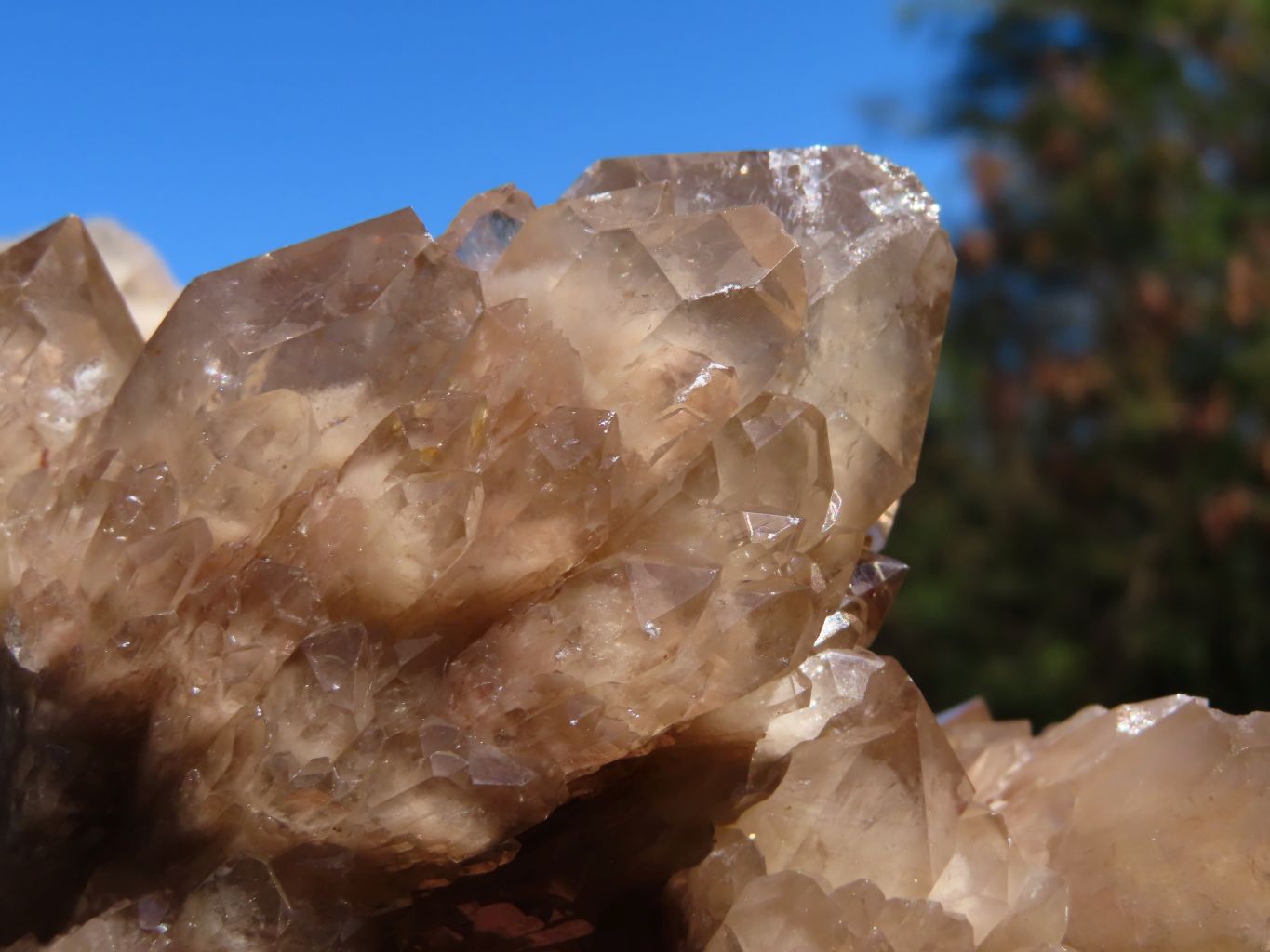 Natural Smokey Phantom Cluster x 1 From Lwena, Congo - TopRock