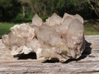 Natural Smokey Cascading Phantom Quartz Cluster x 1 From Luena, Congo - TopRock