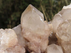 Natural Smokey Cascading Phantom Quartz Cluster x 1 From Luena, Congo - TopRock