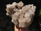 Natural Smokey Cascading Phantom Quartz Cluster x 1 From Luena, Congo - TopRock