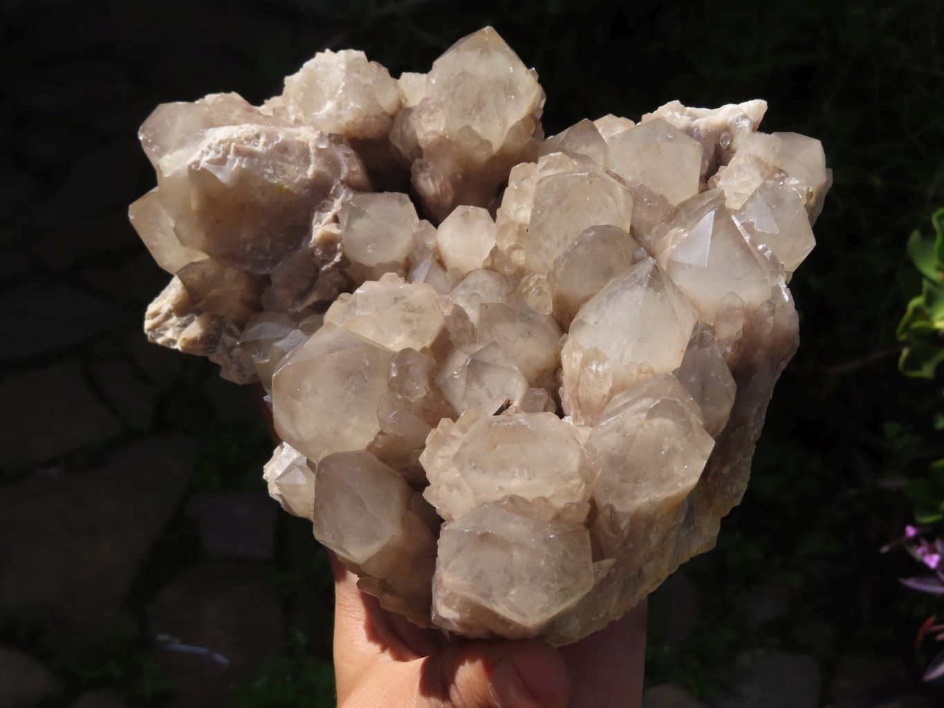 Natural Smokey Cascading Phantom Quartz Cluster x 1 From Luena, Congo - TopRock