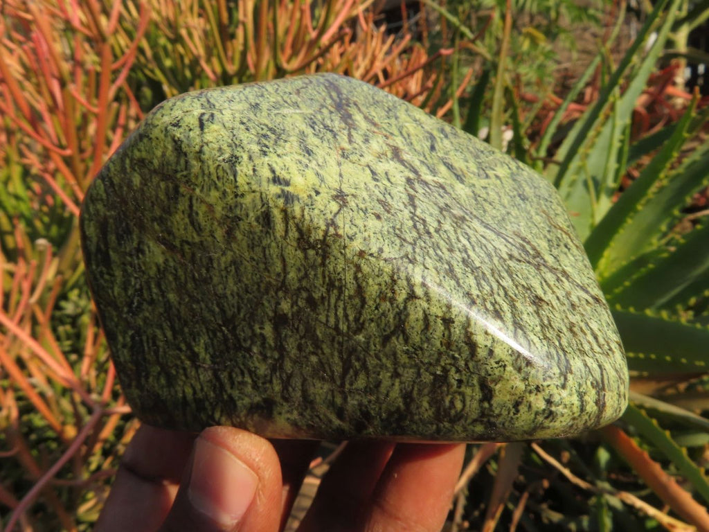 Polished Leopard Stone Free Forms x 3 From Zimbabwe - TopRock