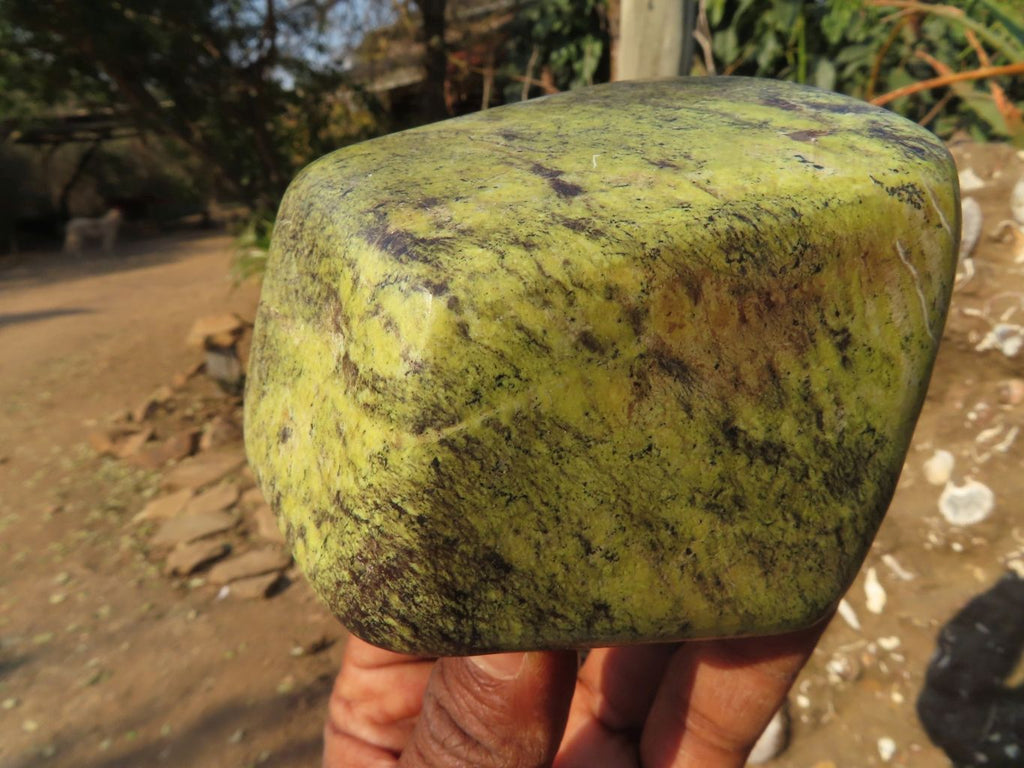 Polished Leopard Stone Free Forms x 3 From Zimbabwe - TopRock
