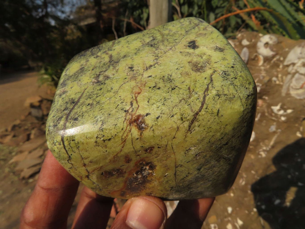 Polished Leopard Stone Free Forms x 3 From Zimbabwe - TopRock