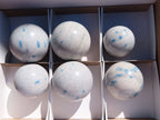 Polished Blue Spotted Spinel Spheres x 6 From Madagascar - TopRock