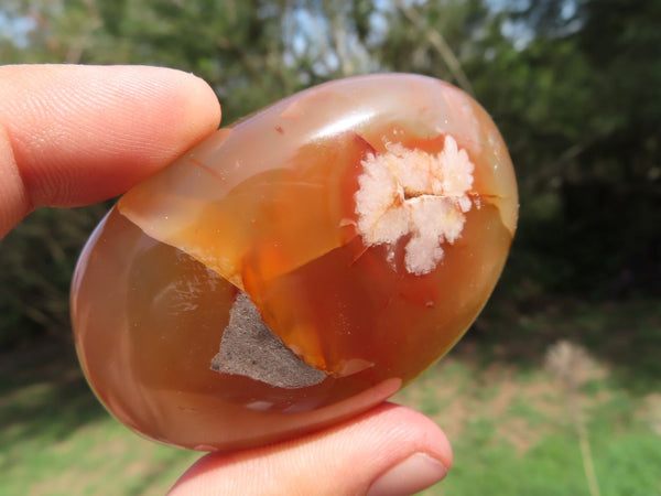 Polished Coral Flower Agate Palm Stones x 12 From Antsahalova, Madagascar - TopRock