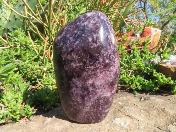Polished Lepidolite Free Forms x 2 From Zimbabwe - TopRock