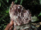 Natural Red Phantom Quartz Crystals  x 2 From Zimbabwe - TopRock