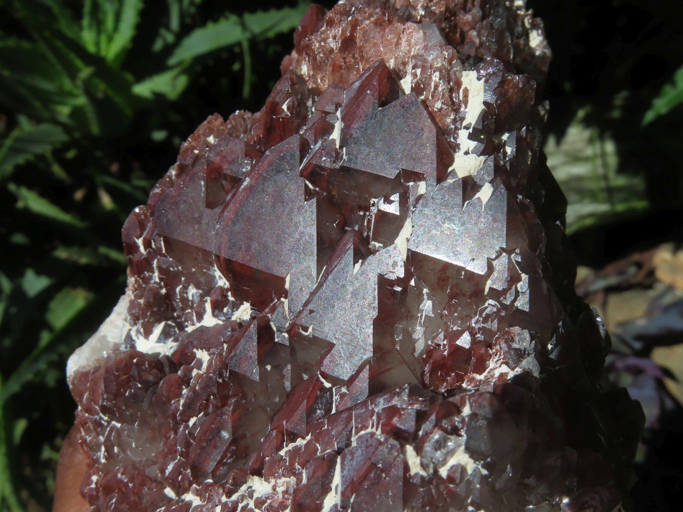 Natural Red Phantom Quartz Crystals  x 2 From Zimbabwe - TopRock