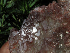 Natural Red Phantom Quartz Crystals  x 2 From Zimbabwe - TopRock