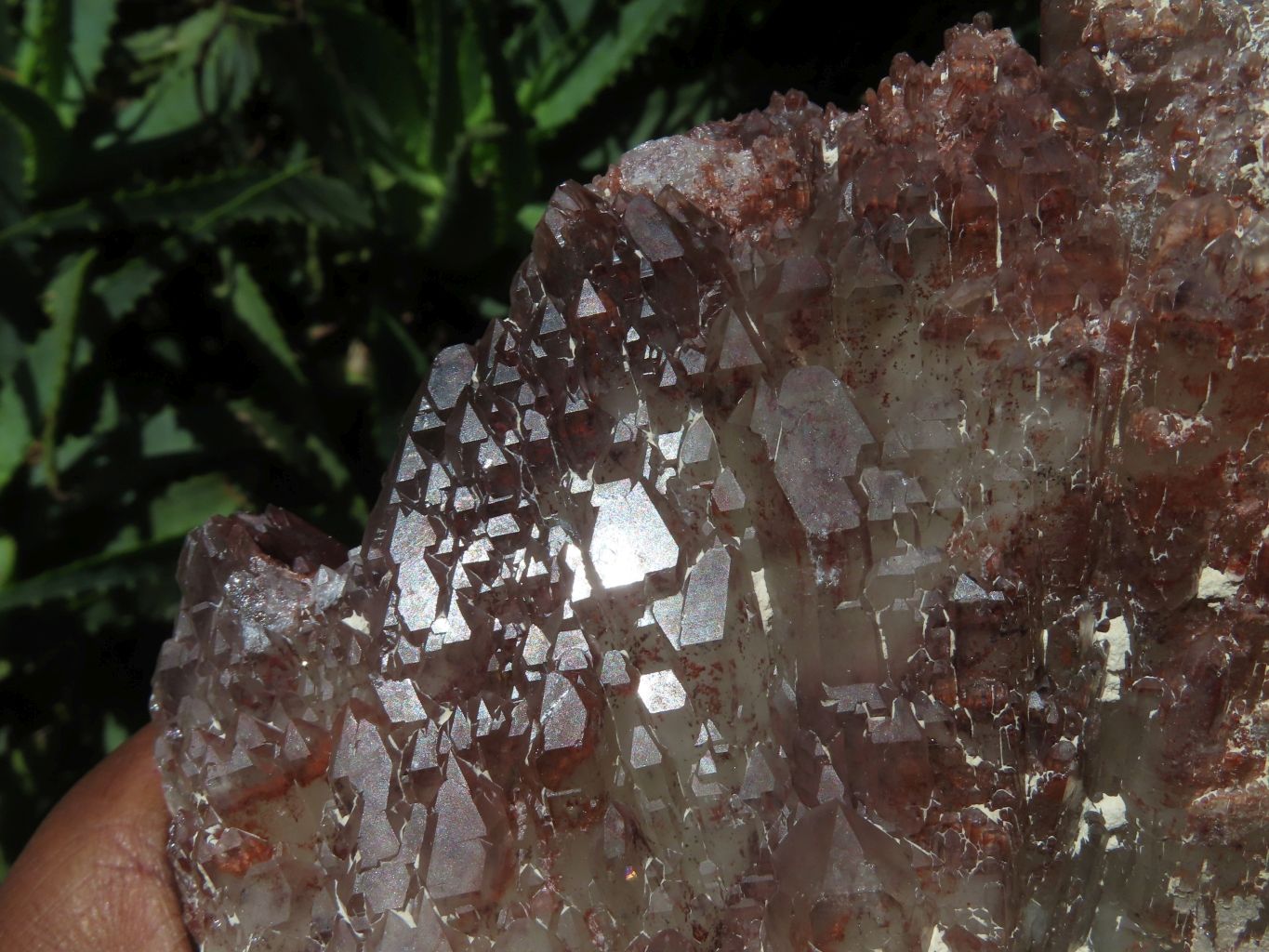 Natural Red Phantom Quartz Crystals  x 2 From Zimbabwe - TopRock