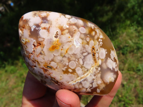Polished Small Coral Flower Agate Standing Free Forms x 6 From Madagascar - TopRock