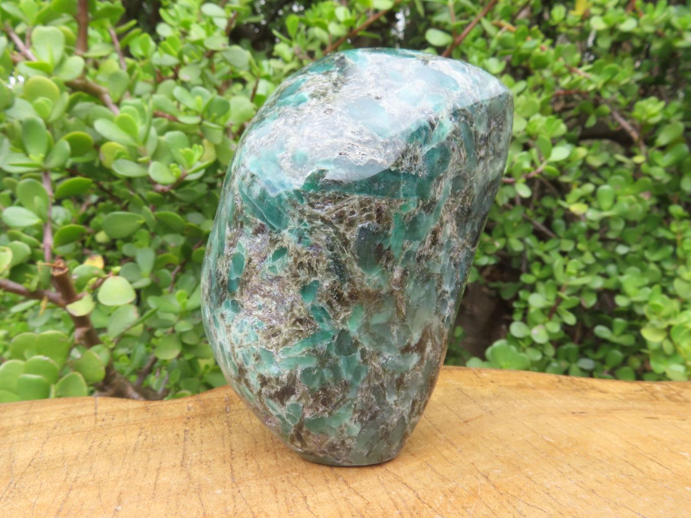 Polished Emeralds In Matrix Free Forms x 2 From Sandawana, Zimbabwe - TopRock