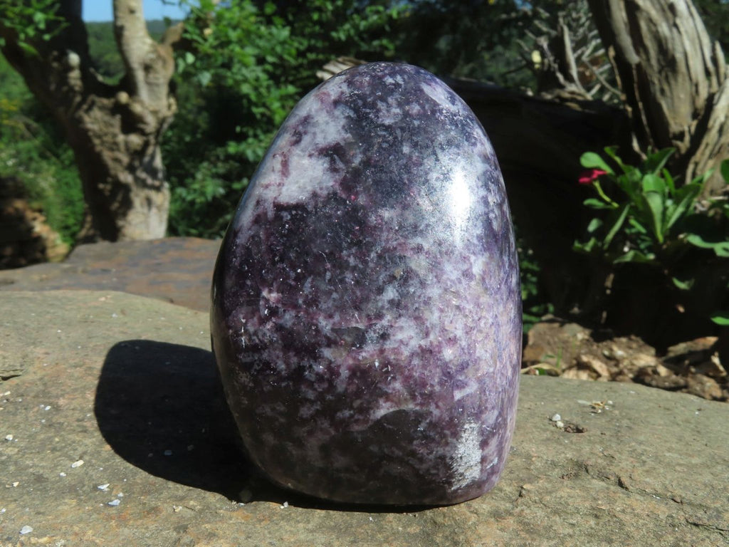 Polished Gem Lithium Mica Lepidolite Display Free Forms x 2 From Zimbabwe - TopRock