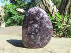 Polished Gem Lithium Mica Lepidolite Display Free Forms x 2 From Zimbabwe - TopRock