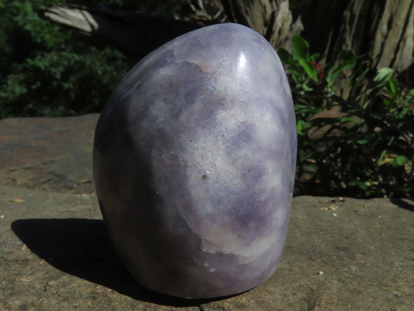 Polished Gem Lithium Mica Lepidolite Display Free Forms x 2 From Zimbabwe - TopRock