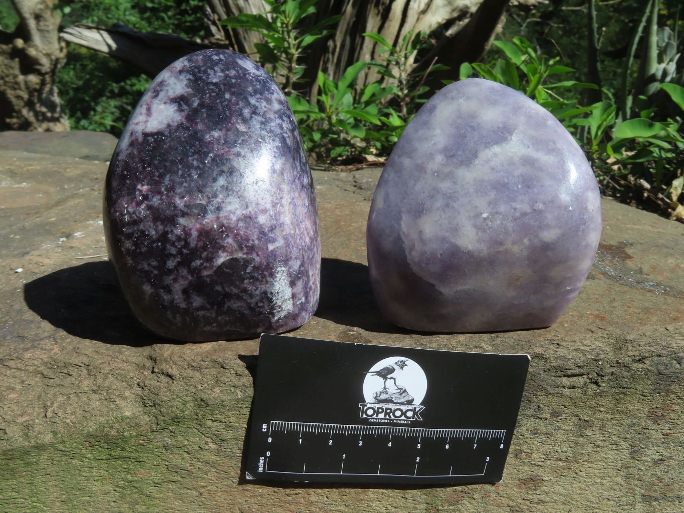 Polished Gem Lithium Mica Lepidolite Display Free Forms x 2 From Zimbabwe - TopRock