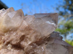 Natural Smokey Phantom Quartz Clusters x 3 From Lwena, Congo - TopRock