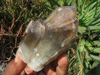 Natural Red Hematoid Quartz Crystals  x 12 From Zimbabwe - TopRock