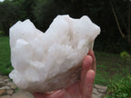 Natural Mixed Malagasy Quartz Cluster x 1 From Madagascar - TopRock