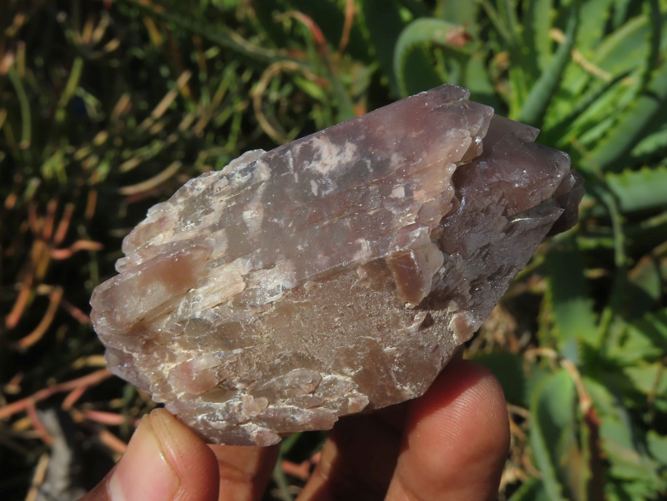 Natural Red Hematoid Quartz Crystals  x 12 From Zimbabwe - TopRock