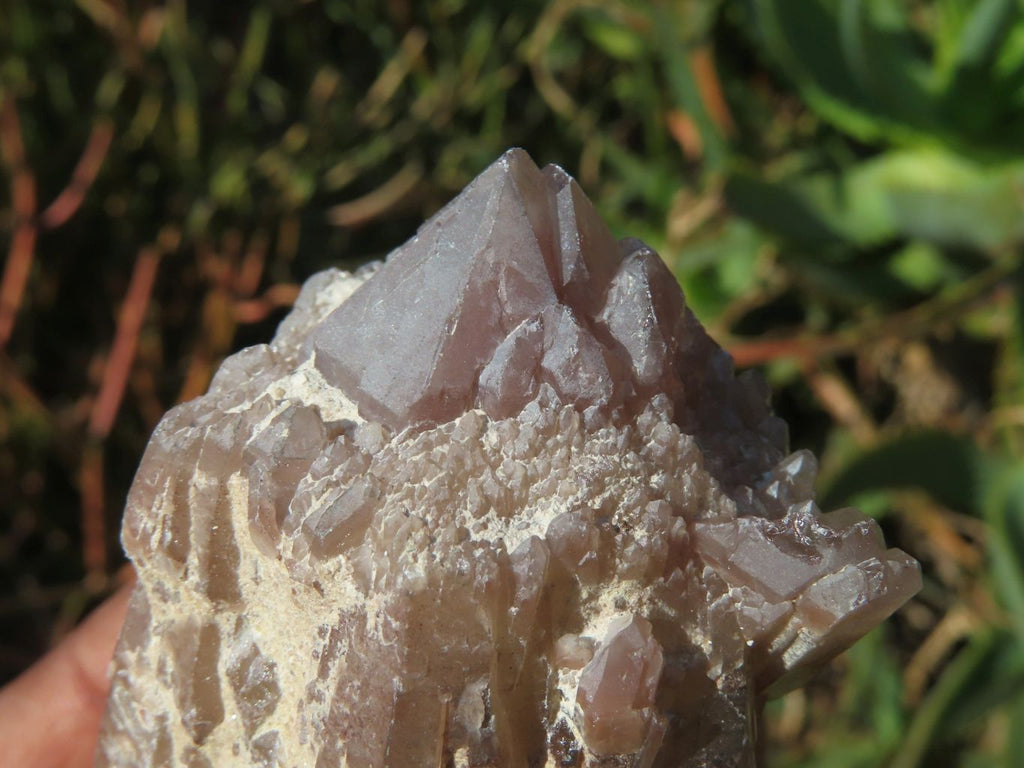 Natural Red Hematoid Quartz Crystals  x 12 From Zimbabwe - TopRock