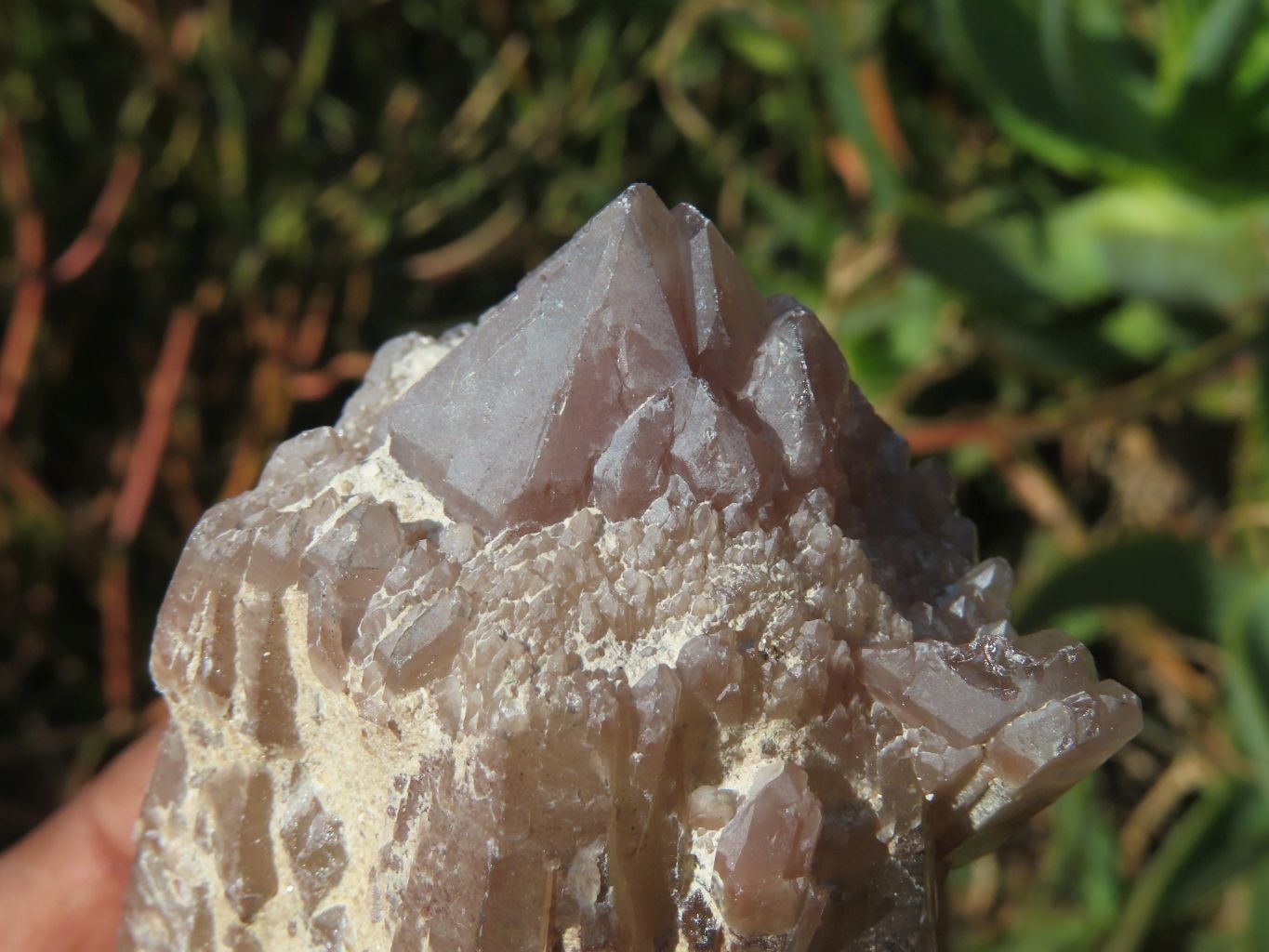 Natural Red Hematoid Quartz Crystals  x 12 From Zimbabwe - TopRock