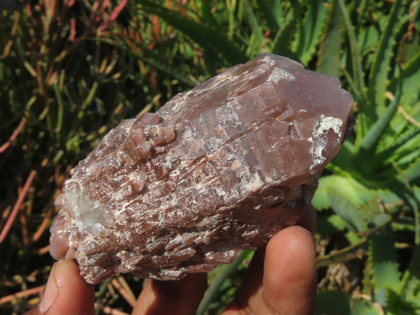 Natural Red Hematoid Quartz Crystals  x 12 From Zimbabwe - TopRock