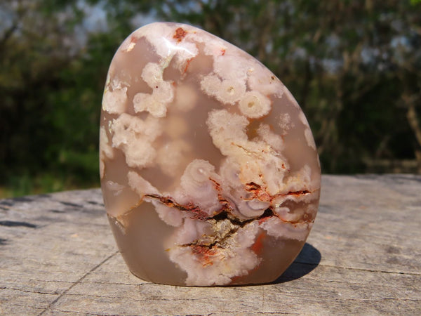 Polished Coral Flower Agate Standing Free Forms x 12 From Mainterano, Madagascar - TopRock