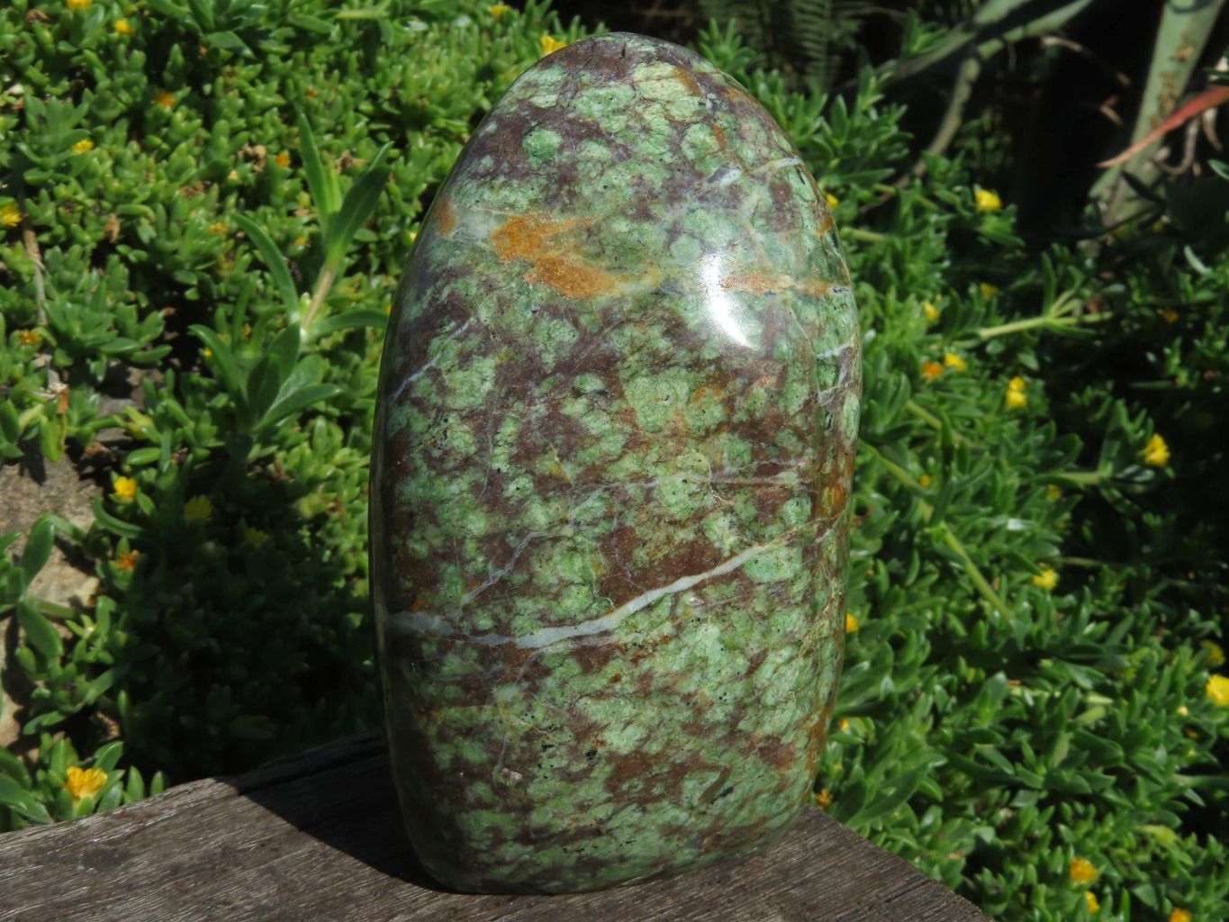 Polished Chrysoprase Standing Free Forms x 3 From Madagascar - TopRock