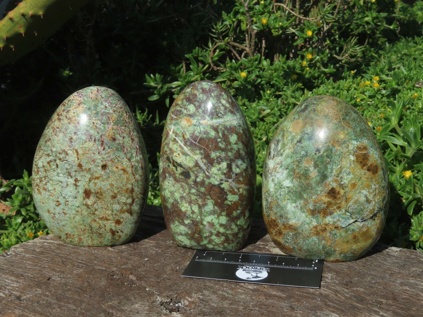 Polished Chrysoprase Standing Free Forms x 3 From Madagascar - TopRock