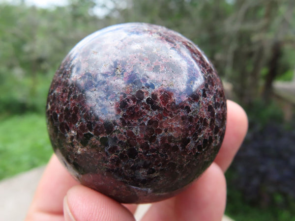 Polished Blood Red Specular Gemmy Garnet Spheres x 12 From Madagascar - TopRock