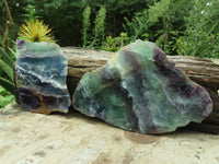 Polished Watermelon Fluorite Slices x 2 From Vis, Namibia - TopRock