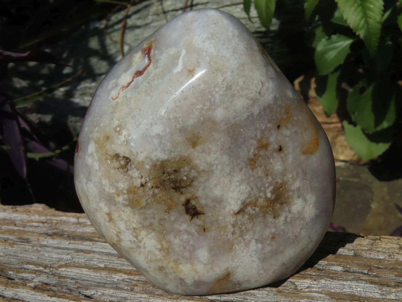 Polished Coral Flower Agate Standing Free Forms x 3 From Madagascar - TopRock