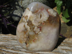 Polished Coral Flower Agate Standing Free Forms x 3 From Madagascar - TopRock