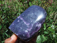 Polished Gem Lithium Mica Lepidolite Display Free Forms x 3 From Zimbabwe - TopRock